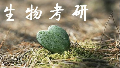 生物工程考研