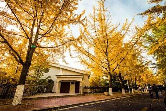 2018年考研院校财政学专业排名