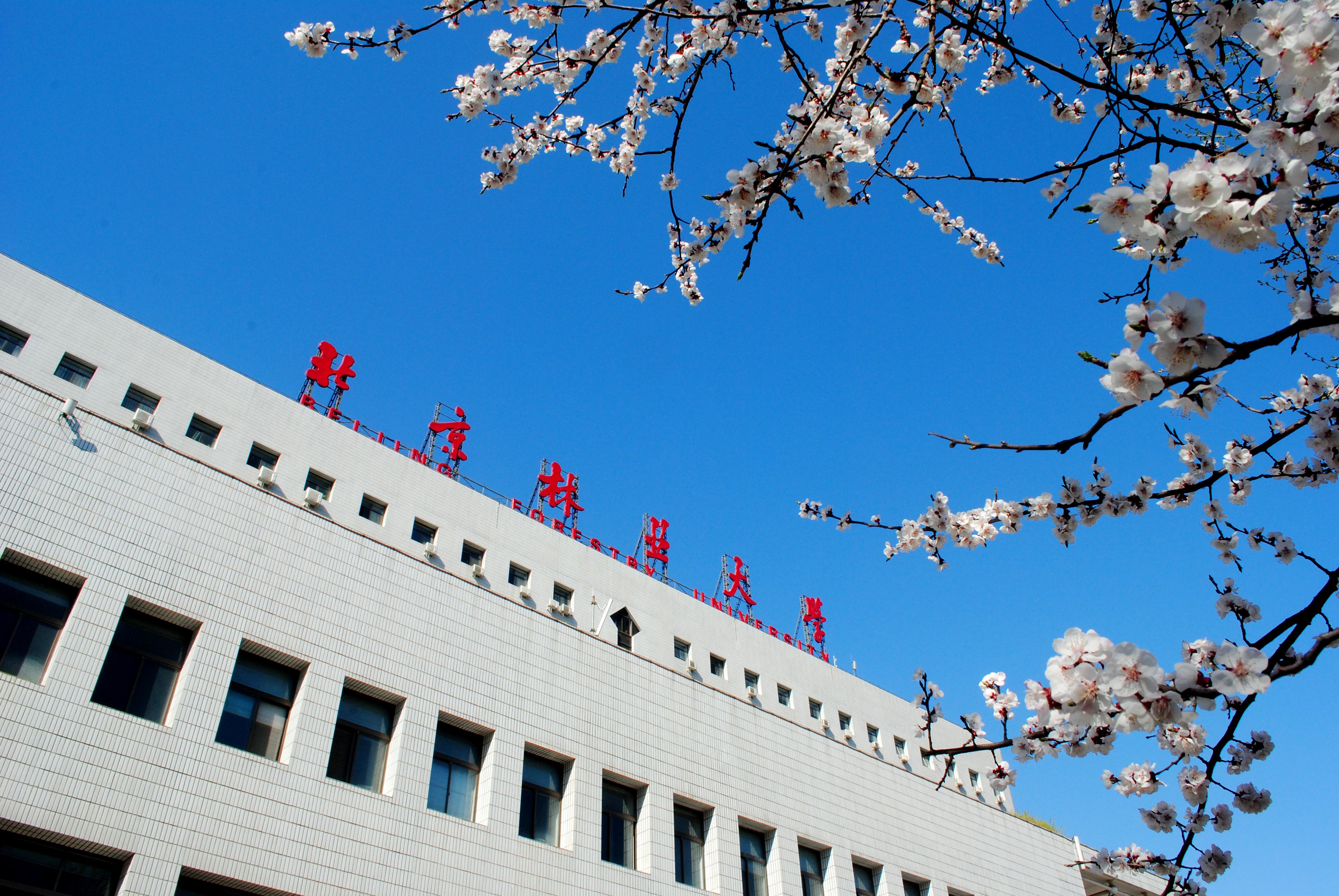 【19考研】值得一考的211院校排名（医学类和农林类）